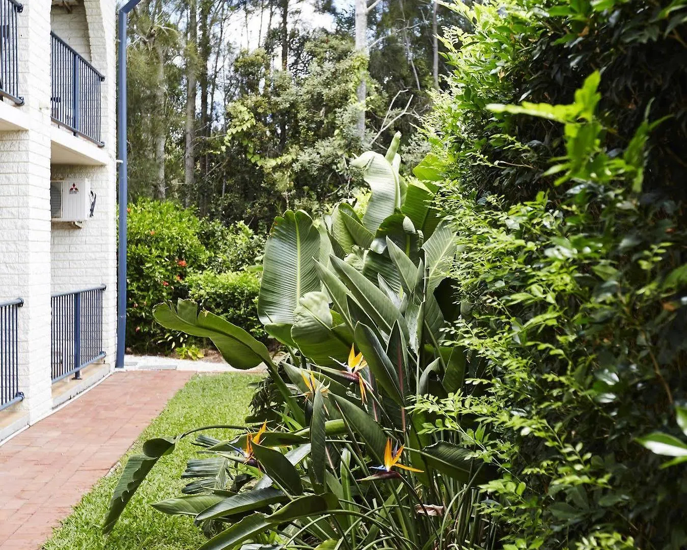 Bay Beach Motel Byron Bay 3*,